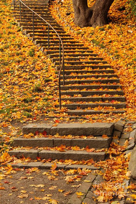 Stairs With Autumn Leaves Photograph By K Ivarsson Fine Art America