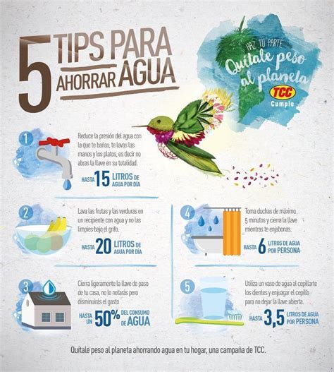 5 Tips Agua Org Mx