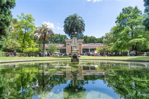El Real Jardín Botánico recibió más de 415.000 visitantes en 2019 más
