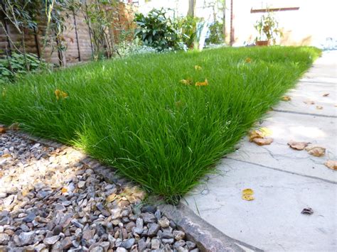 My lawn doesn't have same type of grass throughout, i could see two to three types of grass, how do i make it uniform? First cut of the new lawn - What to do on retirement
