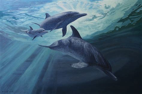 Atlantic Spotted Dolphins Gerry Miles Paintings