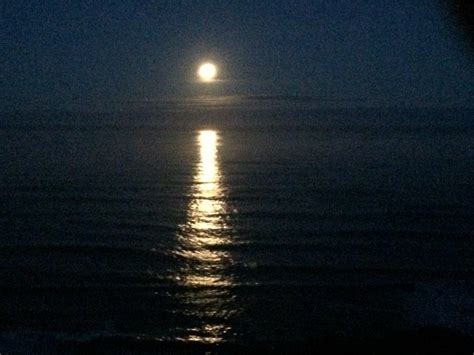 Moonset Mendonoma Sightings