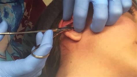 Daith Piercing Pain Scale Verzameling