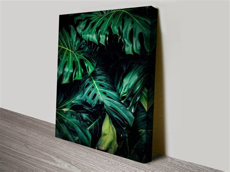 Buy Tropical Leaves Framed Canvas Wall Art Yarralumla Canberra Au