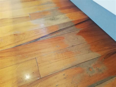 Surface Wear On Hardwood Floor Possible To Spot Repair Diynz