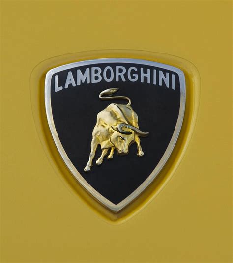 Lamborghini Lamborghini Emblems Lamborghini Pictures