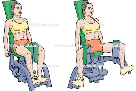 Adductor Adduction Inner Thigh Machine Workoutlabs Exercise Guide