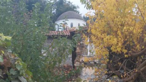 Και οι πάσης φύσεως γιακωβίνοι, αναρχικοί, και. Η κυρία Νικολέτα: 2015