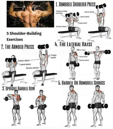 The Perfect Shoulder Workout For Strength And Durability Shoulder