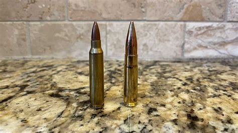 556 Vs 300 Blackout Which Caliber Do You Need Reviewster