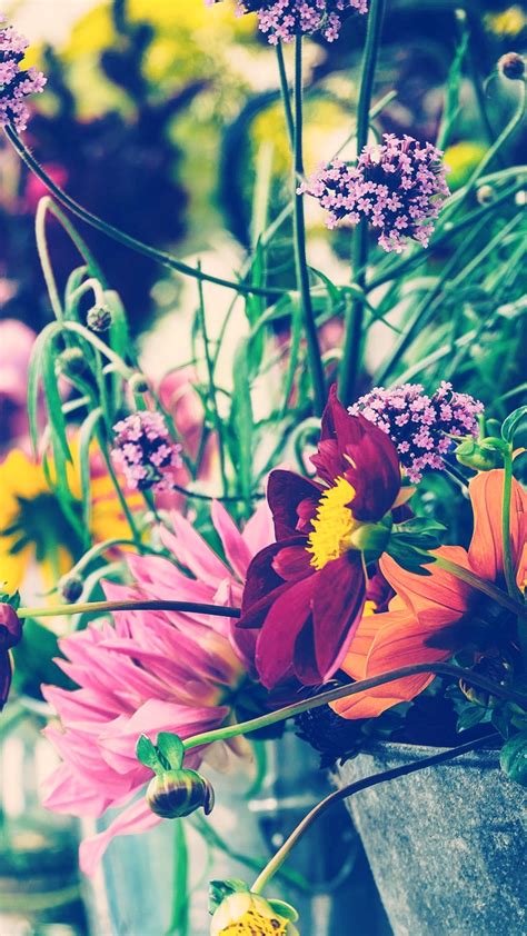 Free Download 27 Floral Iphone 7 Plus Wallpapers For A Sunny Spring