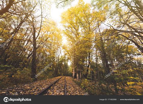 Railroad In Autumn Forest — Stock Photo © Viktoriasapata 171802080