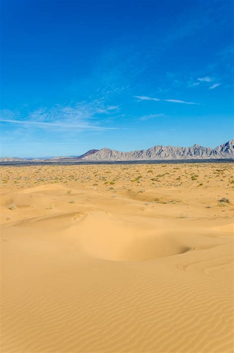 ¿qué Hacer En El Pinacate Reserva De La Biosfera En El Desierto De