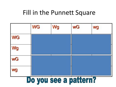 Register free for online tutoring session to clear your doubts. PPT - C-Notes: Dihybrid Cross (Punnett Square w/ 2 traits ...