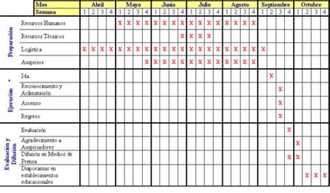 InfoConectados Carta Gantt
