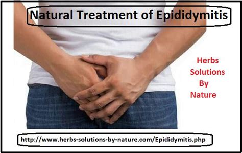 8 Natural Treatments Of Epididymitis Natural Treatments Herbal