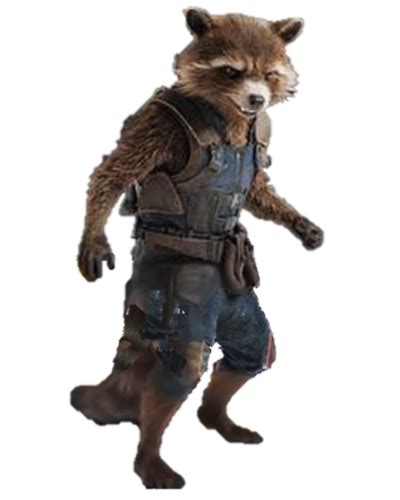 Rocket Raccoon Mcu Character Profile Wikia Fandom 54 Off
