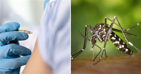 Us Approves First Vaccine For Chikungunya