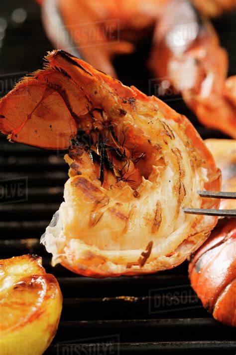 Barbecued Lobster Stock Photo Dissolve