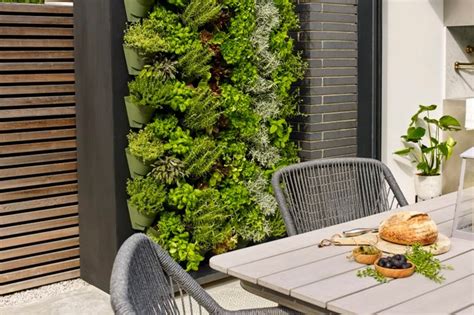 How To Create An Outdoor Living Wall Your Home Style