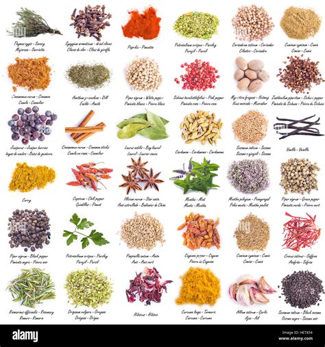 Spices Set With A Great Assortment Isolated On A White Background And