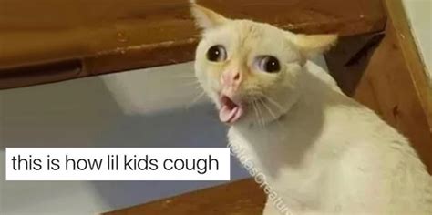Kids Cough Cat Meme All About Logan
