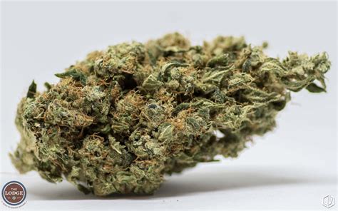 Mimosa Strain Review The Lodge Cannabis Denver