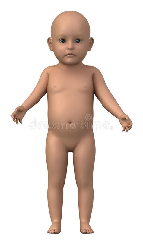Naked Baby In Anatomical Position Stock Illustration Illustration Of