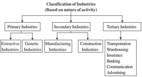 Classification Of Business Activities Study Page