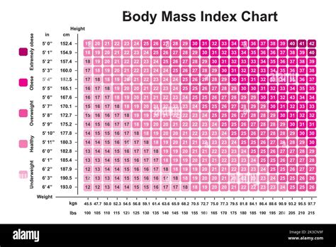 Body Mass Index BMI Chart BMI Calculator To Checking Your Body Mass