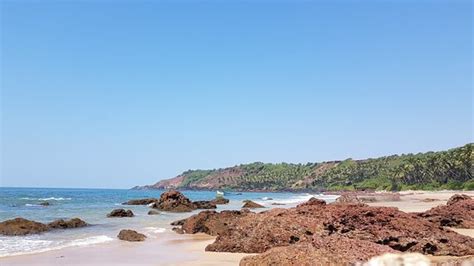 Canaguinim Beach Panjim 2020 What To Know Before You Go With