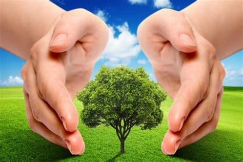 Indjija.net | Вести | Конкурс: Подршка пројектима заштите животне средине