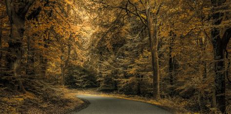 Hintergrundbilder Sonnenlicht Bäume Landschaft Wald Fallen Rock