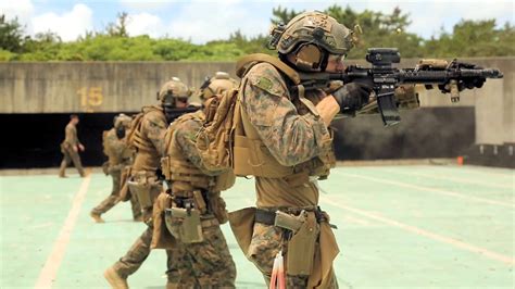 Force Recon Platoon Conducts Combat Marksmanship Youtube