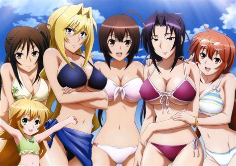 It Seems That Minato Sahashi And His Sekirei Girls Are On The Harem Beach Date R Sekirei