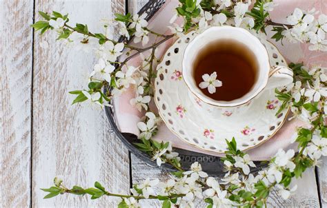 Wallpaper Spring Flowering Blossom Flowers Cup Spring Tea Cup Of