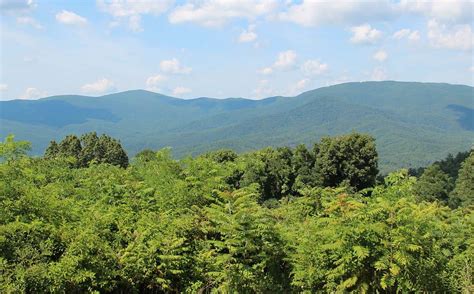 More highly developed sites may also include showers. 9 Best Places To Go Camping In North Georgia ...