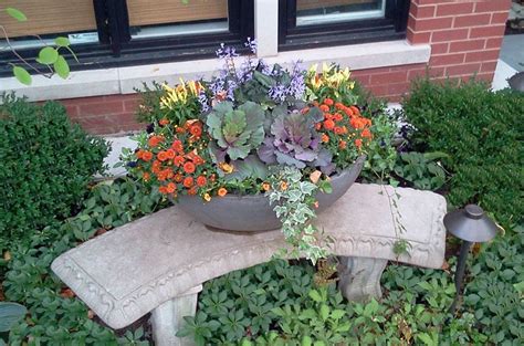 Fall Annuals Container Urban Garden Landscape Design Fall