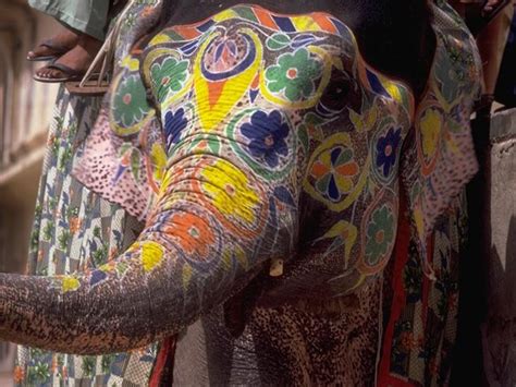 painted elephant - Google Search | Elephant painting, Elephant, Painted indian elephant