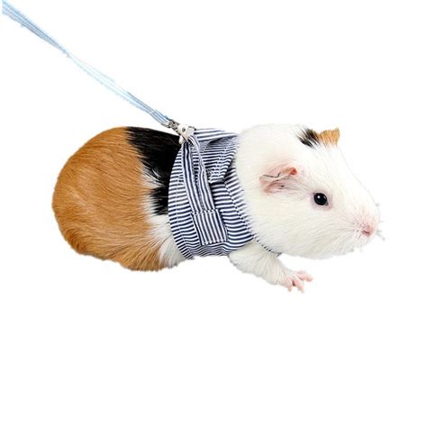 Lanlan Pet Hamster Traction Strap Outdoor Training Soft Cotton Clothes