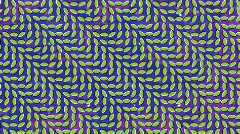 20 Optical Illusions That Might Break Your Mind Animal Collective