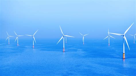 Global offensive, starcraft 2, league of legends and dota 2. Australia's first offshore wind project: Star of the South ...