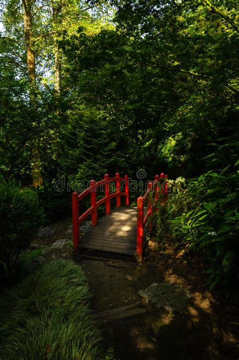 Japanese Garden With Red Bridge Stock Photo Image Of Bush Ornamental