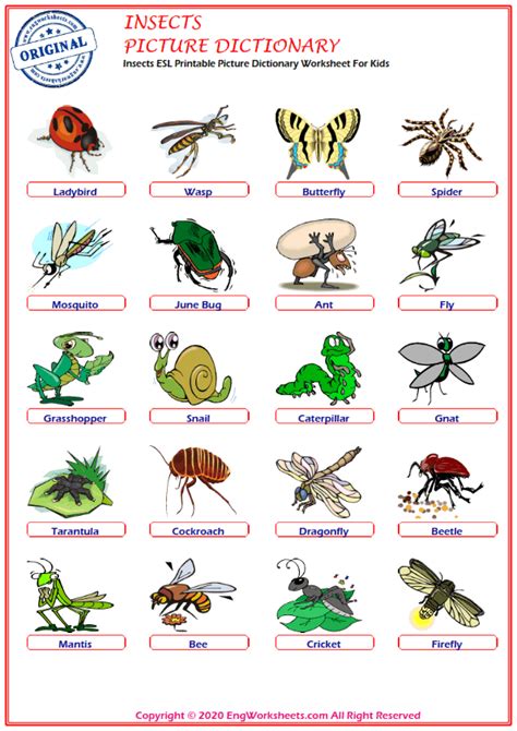 ﻿insects Esl Printable Picture Dictionary Worksheet For Kids Image