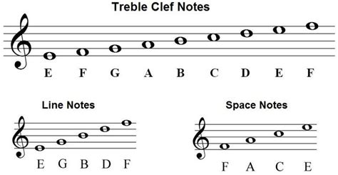 Download our book piano sight reading grades 1 and 2 here: How to Read Sheet Music for Beginners | Reading sheet music, Reading notes, Basic guitar lessons