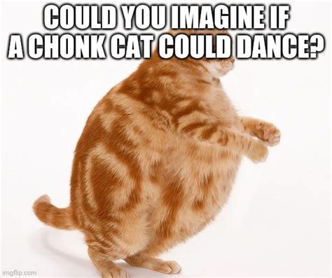 Image Tagged In Chonk Cat Dance Imgflip