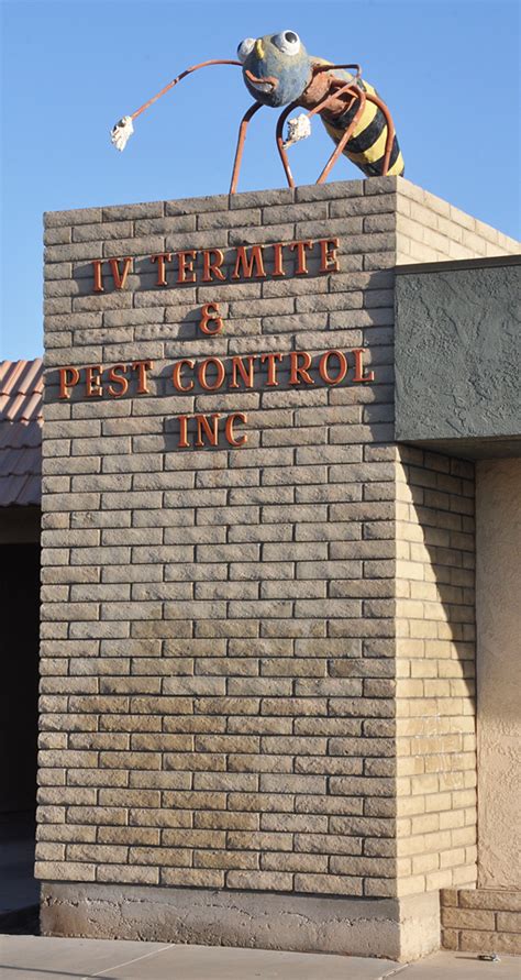 Your austin pest control experts. Insect Statues | RoadsideArchitecture.com