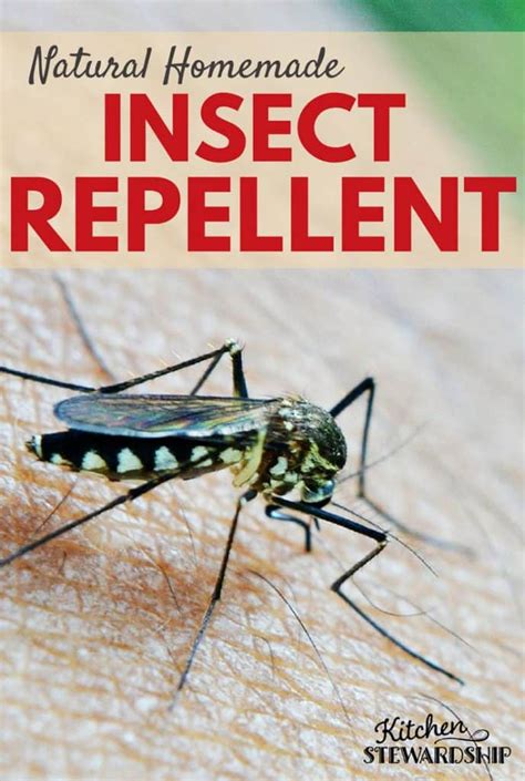 Natural Homemade Insect Repellent