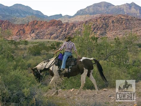 Cowboy Trail Rides Las Vegasnv Horseback Riding Tours In Redrock Canyon