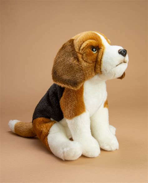 Discount Prices Easy Exchanges Click Now To Browse Crufts 10″ Cuddly